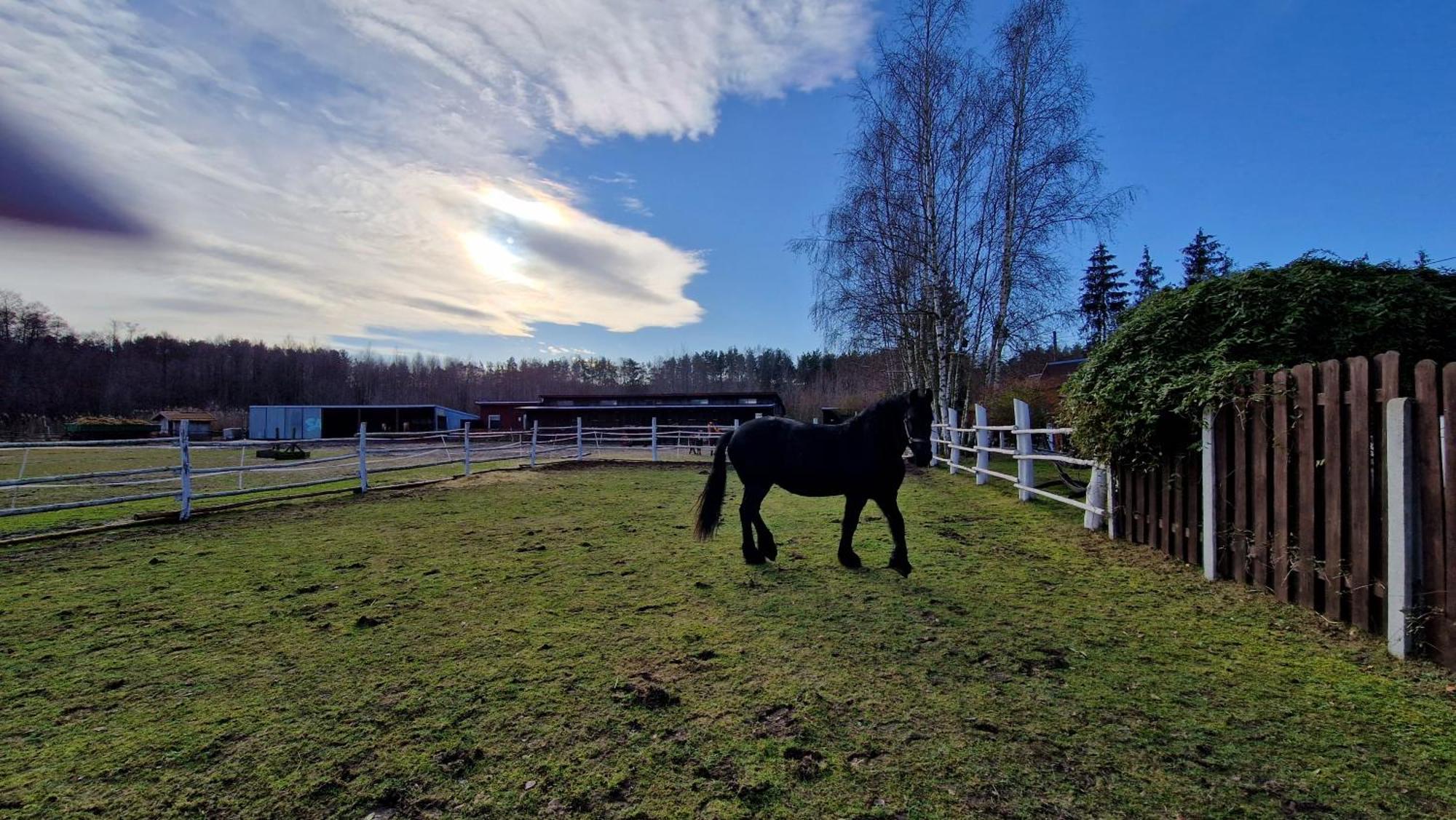 Rancho Colorado Trzciel Exterior foto